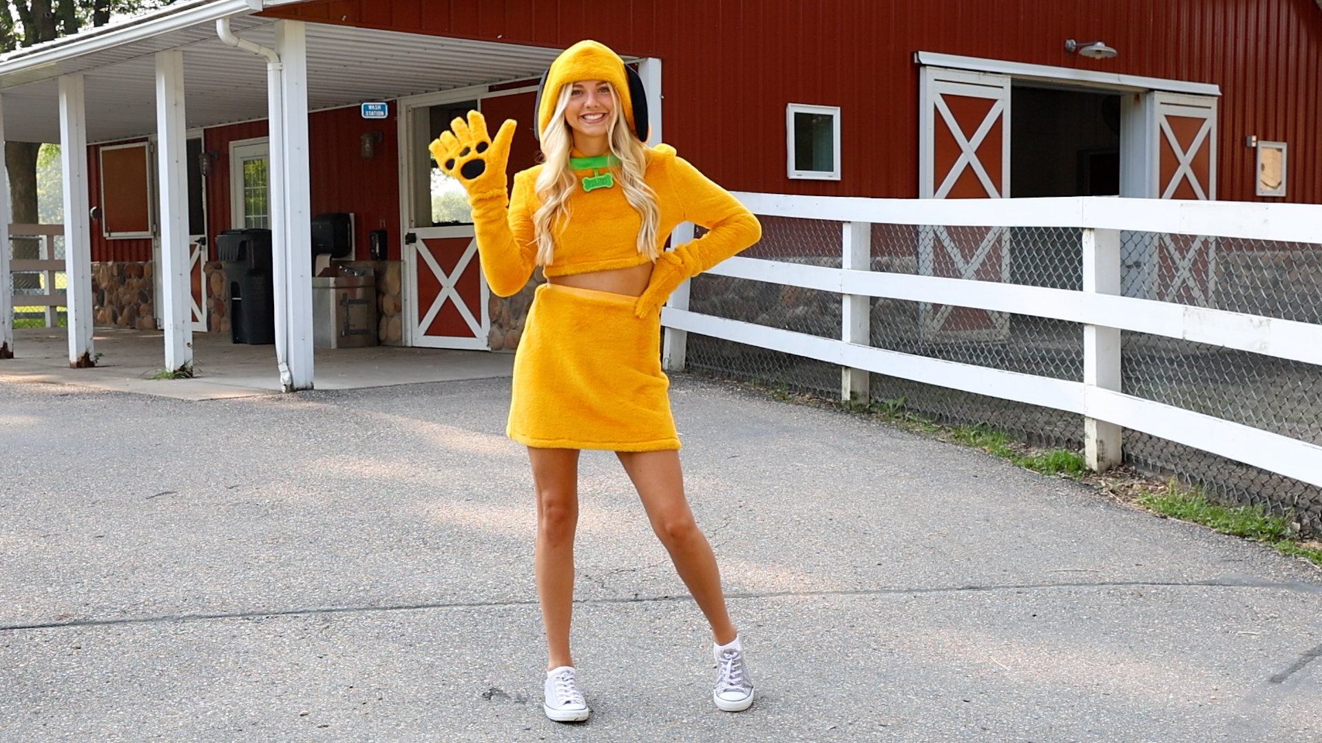 FUN95621AD Pluto Costume